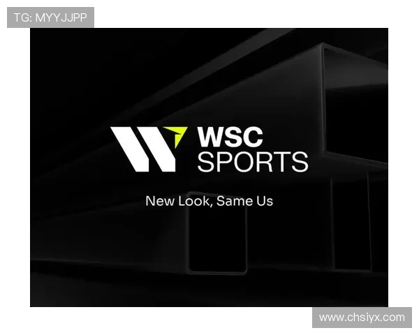 v站体育网页版的用户评价与使用技巧，助你更好地体验体育直播平台